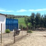 Photo-13 : Terrain Agricole à Menzel Bourguiba