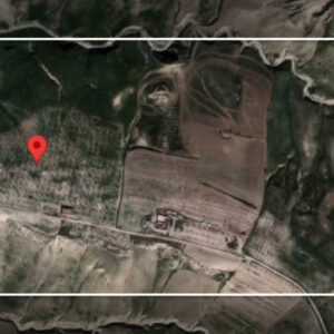 OLIVERAIE DE PRÈS DE 11 HECTARES À EL GONNA