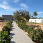 Photo-14 : Superbe villa avec piscine à Djerba