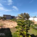 Photo-15 : Superbe villa avec piscine à Djerba