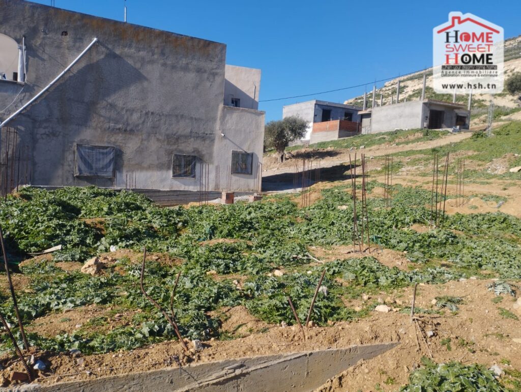 À Vendre Terrain Habitation Ghanim à Bizerte BnB Tunisie