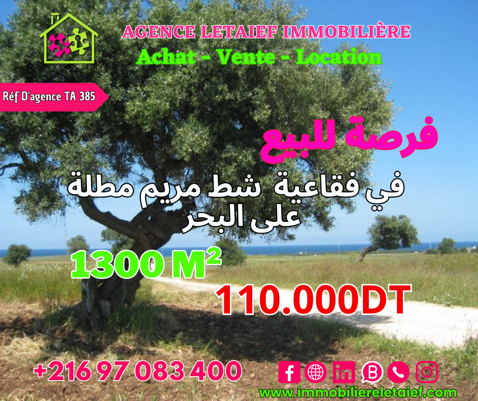 Agricultural Land with Olive Trees and Beautiful View in Foukaia, Sousse