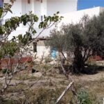 Photo-4 : Terrain Defacto à Cité Essahafa Ghazela