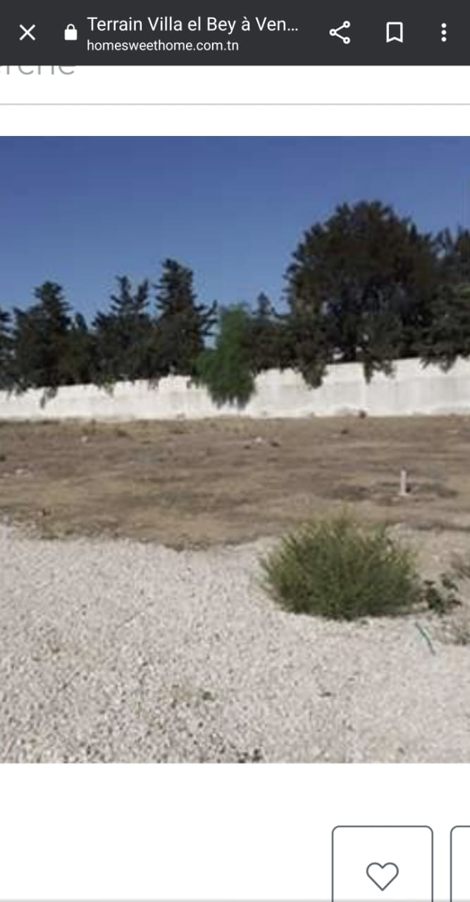 Terrain de 550m² à Bhar Lazreg