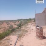 Photo-5 : Terrain Agricole Trevino à Sidi Aich