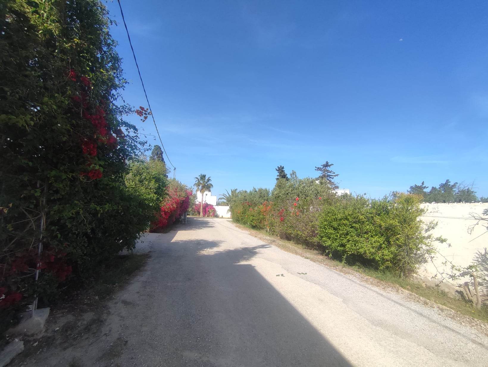 Exceptional Land Opportunity in El Bessbessiya, Hammamet