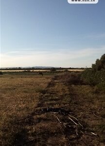 Terrain Agricole Kia à Borj Touil