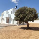 Photo-11 : GRANDE VILLA AVEC PISCINE SPACIEUSE ET LUMINEUSE à DJERBA