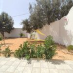 Photo-19 : Superbe villa avec piscine à Djerba