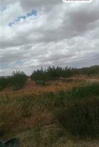 Terrain Agricole Wallis à Sidi Aich