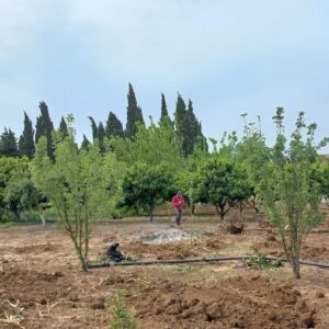 Ferme Al Safwa à Ghar EL Mellah