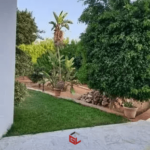 Photo-13 : Villa Route L’Afrane Sfax