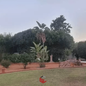 Villa Route L’Afrane Sfax