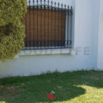 Photo-6 : Villa Route L’Afrane Sfax