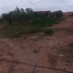 Photo-11 : Terrain Agricole Zelina à Sidi Aich