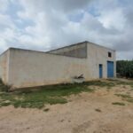 Photo-3 : Terrain agricole de 4 hectares à El houaria, Nabeul