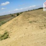 Photo-3 : Terrain Agricole Rihane à Cherfech, Sidi Thabet