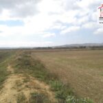 Photo-8 : Terrain Agricole Jannet à Cherfech, Sidi Thabet