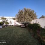 Photo-6 : Belle villa plein pied à Djerba