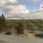 Photo-12 : S3 Assal à Rades