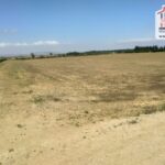 Photo-8 : Terrain Agricole Rihane à Cherfech, Sidi Thabet