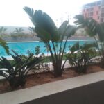 Photo-2 : Appartement Meublé S+1 Haut Standing à Mrezga Hammamet