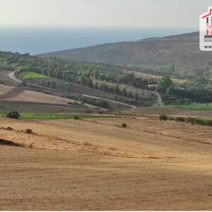Terrain Agricole Malo à Bizerte