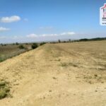 Photo-9 : Terrain Agricole Rihane à Cherfech, Sidi Thabet