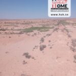 Photo-5 : Terrain Agricole Mazda à Sidi Aich