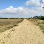 Photo-12 : Terrain Agricole Rihane à Cherfech, Sidi Thabet