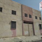 Photo-9 : Entrepôt Amplia à Sijoumi Sidi Hassine