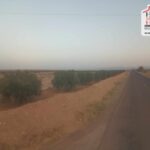 Photo-6 : Terrain Agricole BEDIA à Sidi Aich
