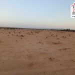 Photo-8 : Terrain Agricole BEDIA à Sidi Aich