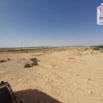 Photo-15 : Terrain Agricole Salazar à Sidi Aich