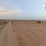 Photo-11 : Terrain Agricole BEDIA à Sidi Aich