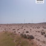 Photo-13 : Terrain Agricole MACARENA à Nadhour Kasserine