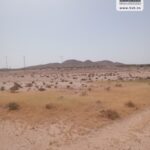 Photo-4 : Terrain Agricole MACARENA à Nadhour Kasserine