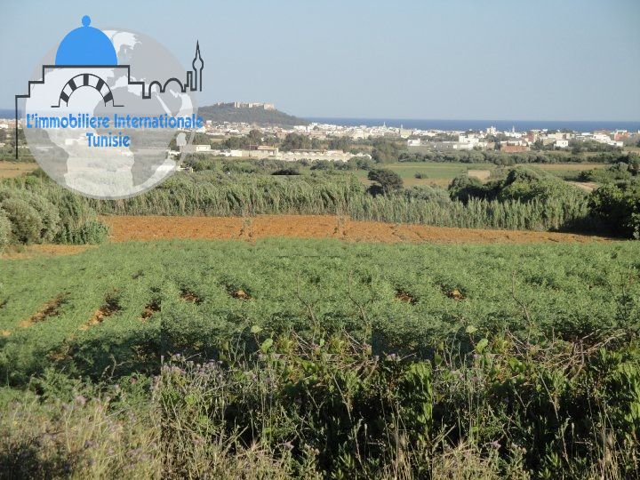 Ferme de 1.5ha à Kalaa Kbira Sousse