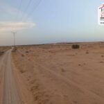 Photo-9 : Terrain Agricole BEDIA à Sidi Aich