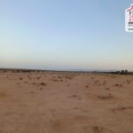 Photo-7 : Terrain Agricole BEDIA à Sidi Aich