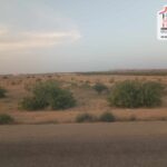 Photo-4 : Terrain Agricole BEDIA à Sidi Aich
