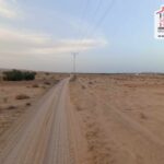 Photo-1 : Terrain Agricole BEDIA à Sidi Aich
