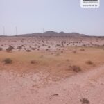 Photo-11 : Terrain Agricole MACARENA à Nadhour Kasserine