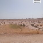 Photo-7 : Terrain Agricole MACARENA à Nadhour Kasserine