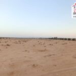 Photo-2 : Terrain Agricole BEDIA à Sidi Aich