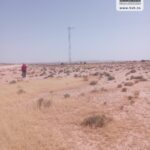 Photo-8 : Terrain Agricole MACARENA à Nadhour Kasserine