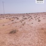 Photo-9 : Terrain Agricole MACARENA à Nadhour Kasserine