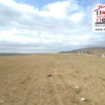 Photo-12 : Terrain Agricole Asi à El Managaa Sminja, Zaghouen