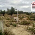 Photo-2 : Terrain Agricole Idil à Sidi Thabet