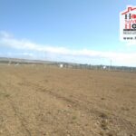 Photo-7 : Terrain Agricole Asi à El Managaa Sminja, Zaghouen